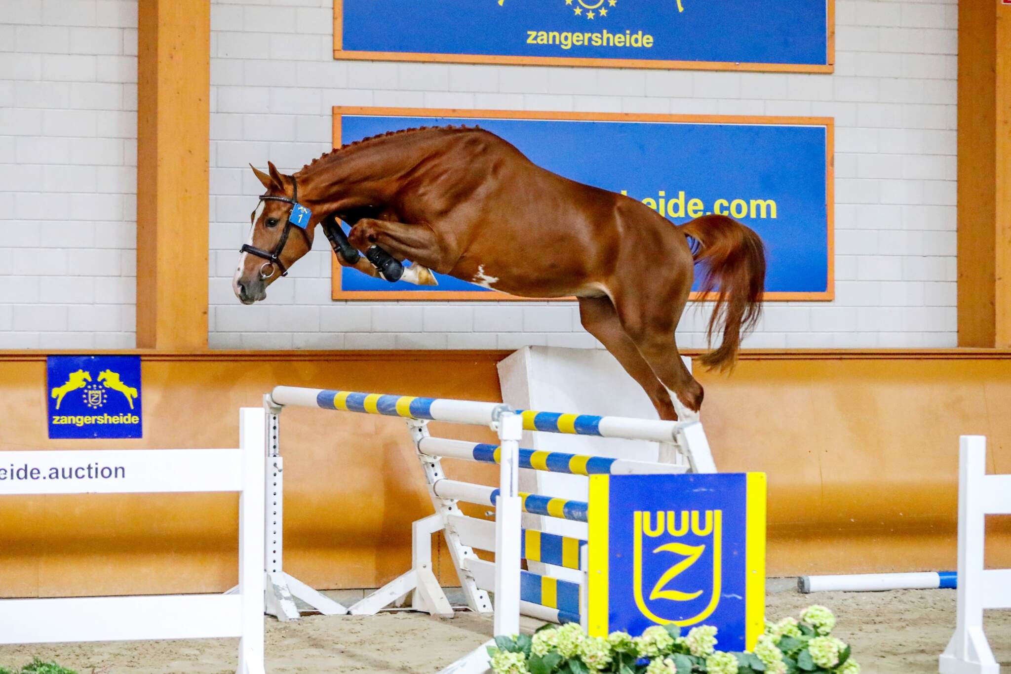 Hardwell WM Z Barnbridge Auctions