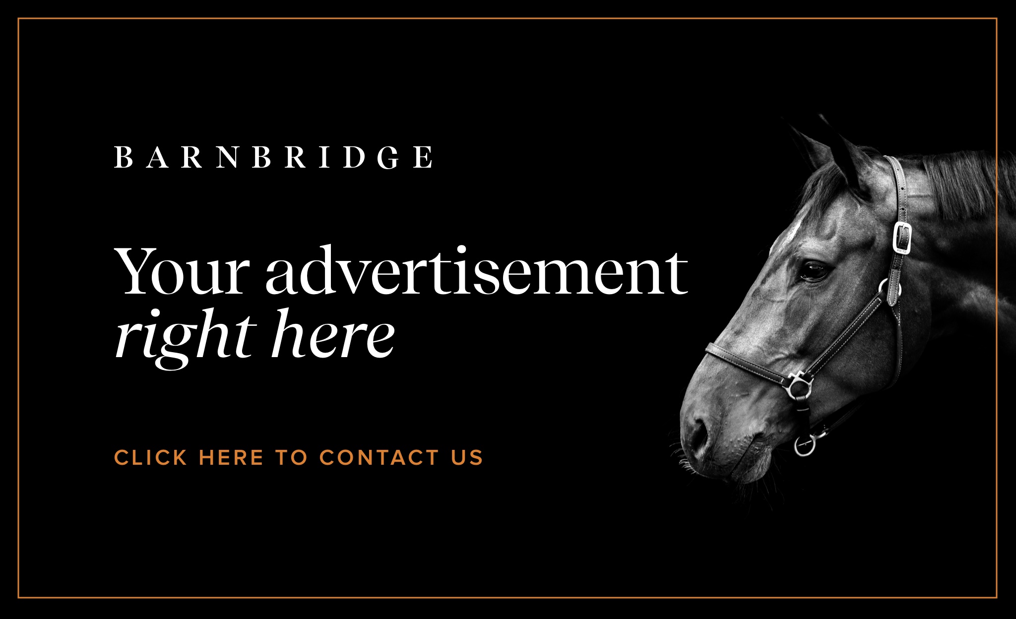 Barnbridge Auctions Horse auctions on one platform