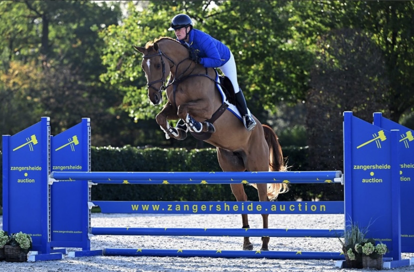 Cinnamon LB Barnbridge Auctions