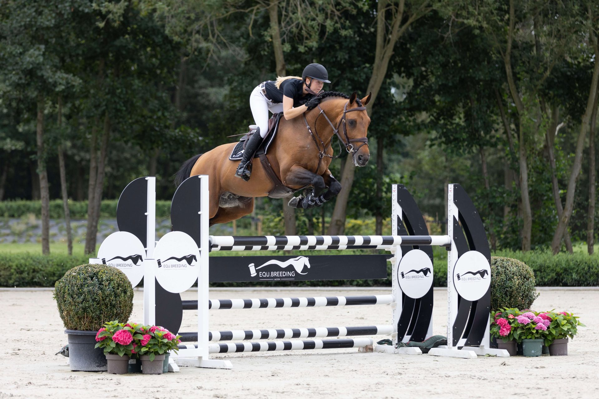 Gin Flip de Muze Barnbridge Auctions