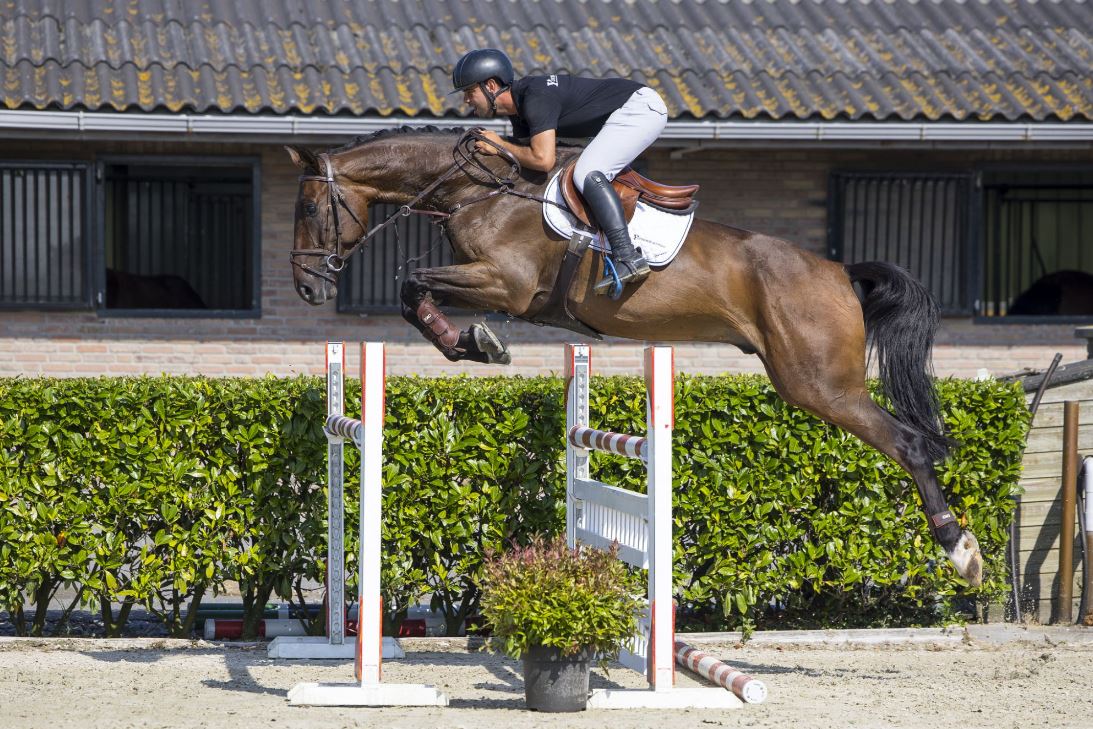 Melbourne Barnbridge Auctions