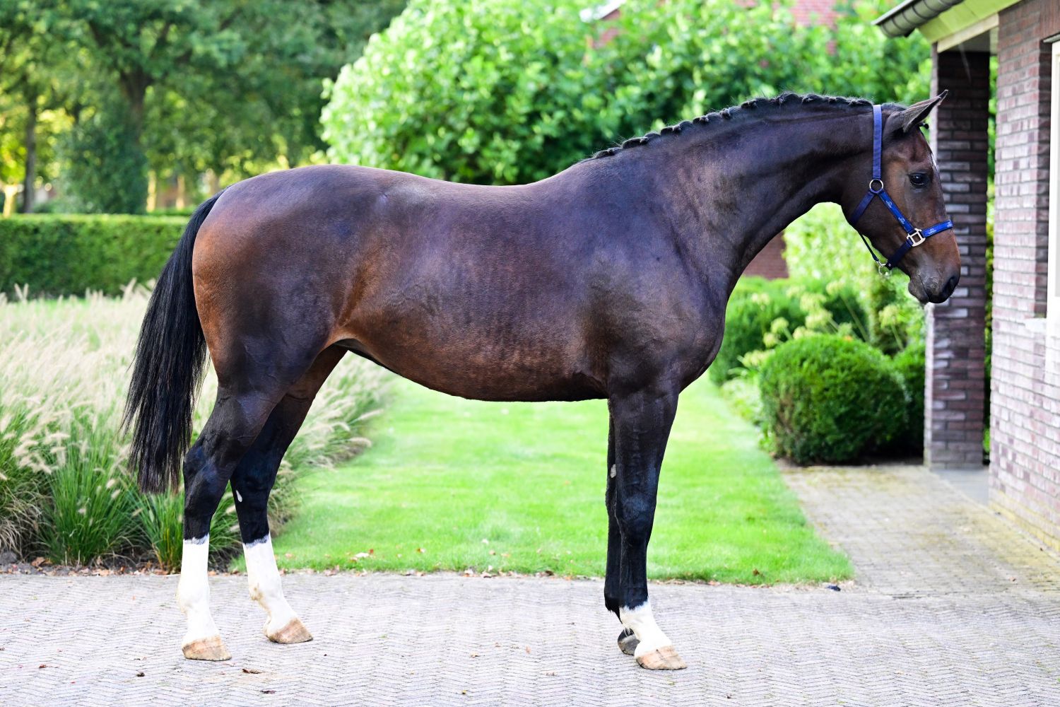 Chloe Z - Barnbridge Auctions